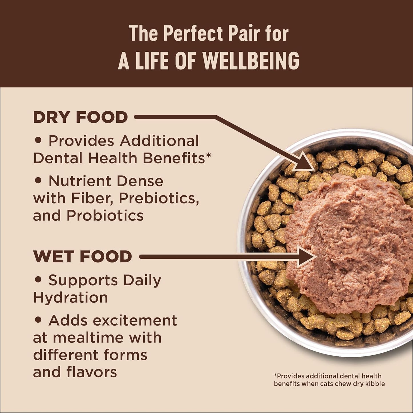 Wellness CORE+ Digestive Health Pate Adult Wet Cat Food, Natural, Protein-Rich, Grain Free, 3 Ounce, 12 Pack (Chicken)