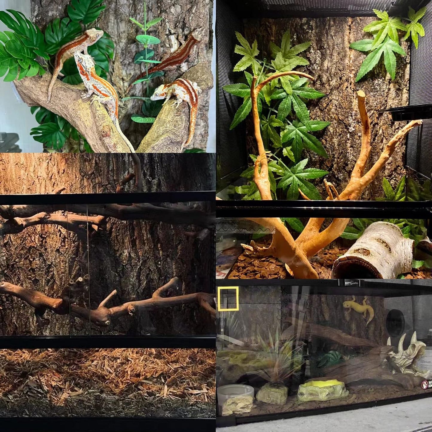 Tfwadmx 2Pcs Terrarium Cork Bark Background, 11.8"x11.8" Thickened Reptile Tank Tree Backdrop Wall Decor Habitat Climbing Mat Decoration for Lizard, Turtle, Gecko, Bearded Dragon, Frog, Chameleon