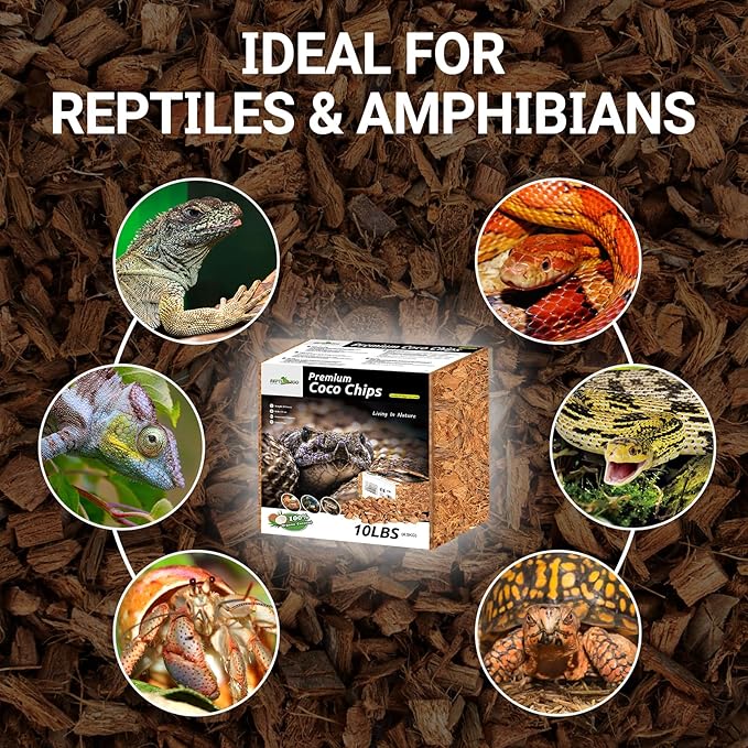 REPTI ZOO 72 Quart Reptiles Coconut Chip Substrate, Coco Husk Reptiles Bedding for Ball Python, Snakes, Geckos, Lizards, Tortoises, Frogs | Terrarium Tanks Substrate