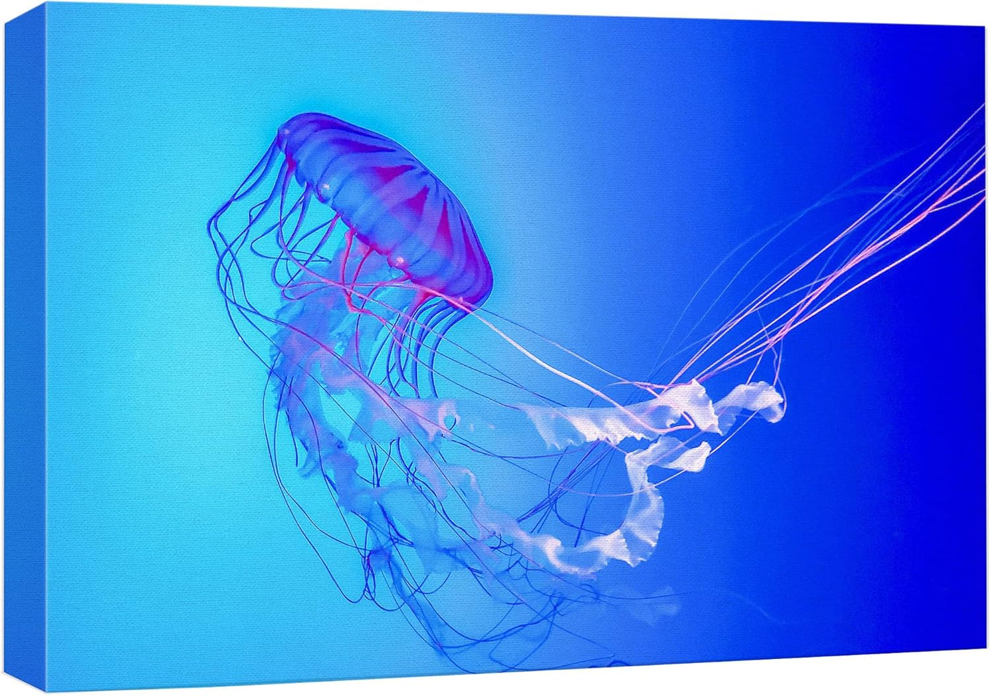 wall26 Canvas Print Wall Art Vibrant Neon Blue Pink Jellyfish Deep Sea Nature Animals Photography Realism Rustic Scenic Landscape Wilderness Earth Colorful for Living Room, Bedroom, Office - 32"x48"