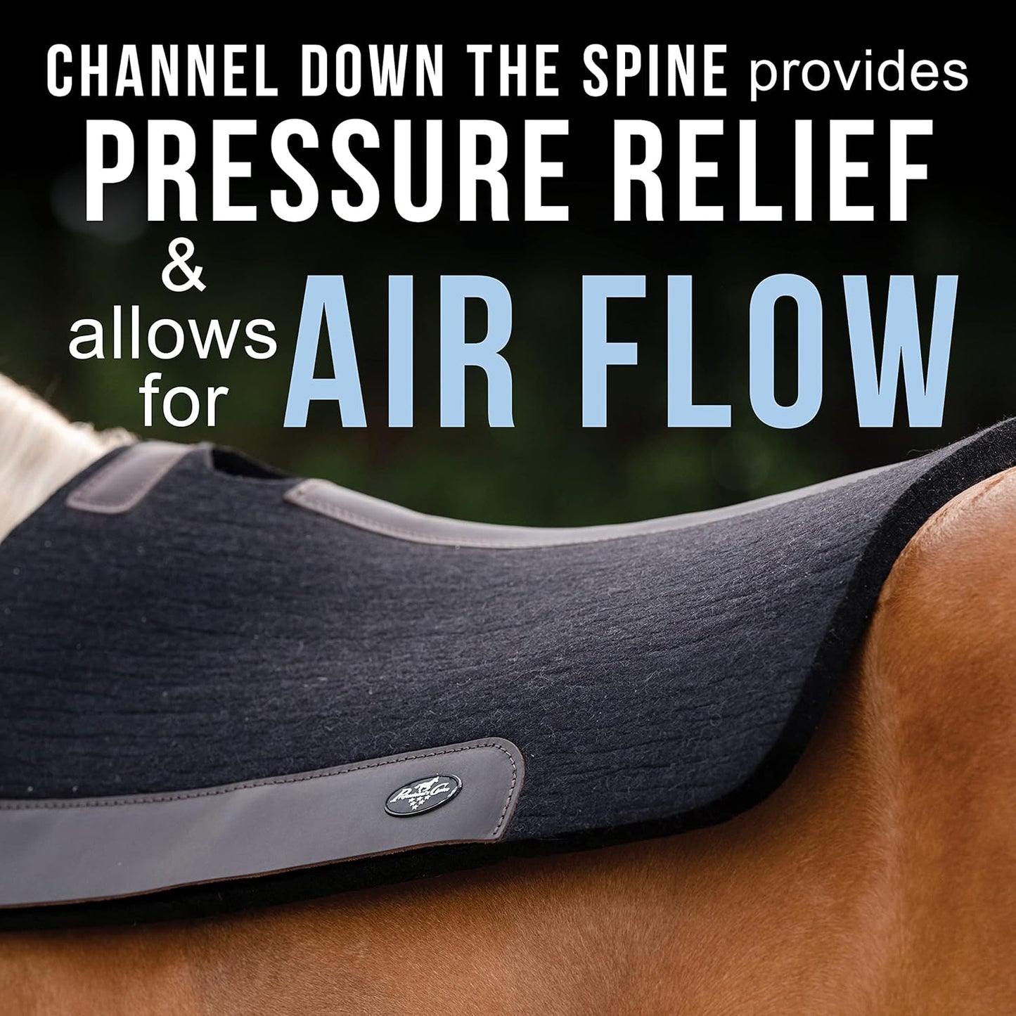 Professional's Choice 100% Steam-Pressed Wool Felt Saddle pad