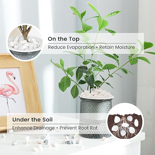 SIDONG 5 LB White River Rocks, 0.4-1.2 Inches Matte Pebbles for Indoor Plants, Aquarium Rocks Used in Fish Tank, Decorative Stones for Plants, Vases, Home Décor, Crafting, Garden Landscaping