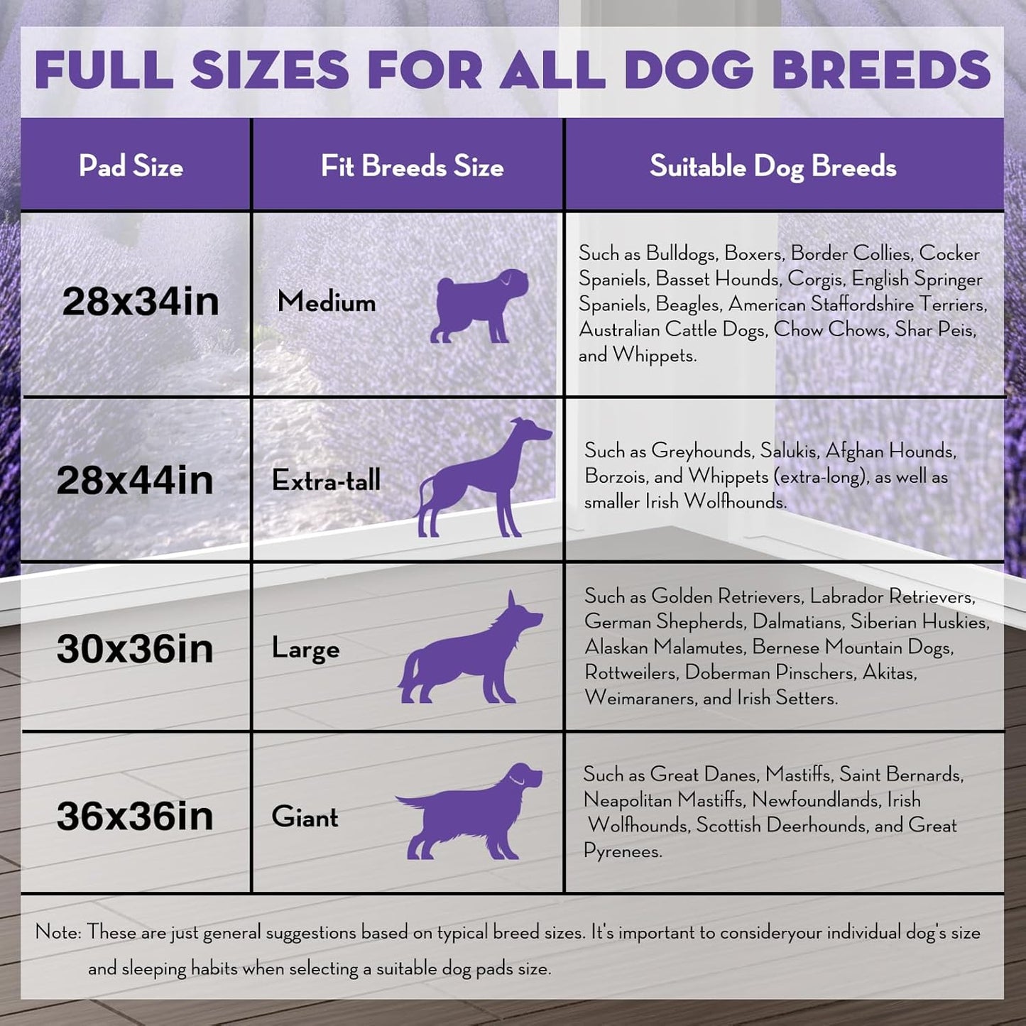 CROCI Dog Pads Extra Large 28x34in, Puppy Pads with Adhesive Tabs Super Absorbent Up to 8 Cups, Disposable (40 Counts)