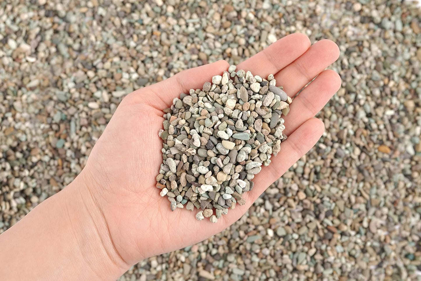LANDEN Thoreau Aquarium Sand for Aquarium Landscape 2L(7lbs), Fish Tank Gravel, Pea Gravel for Landscaping, Coarse Sand for Plants, Aquarium Granite Sand, Fish Tank Decorative Sand, 2-3mm