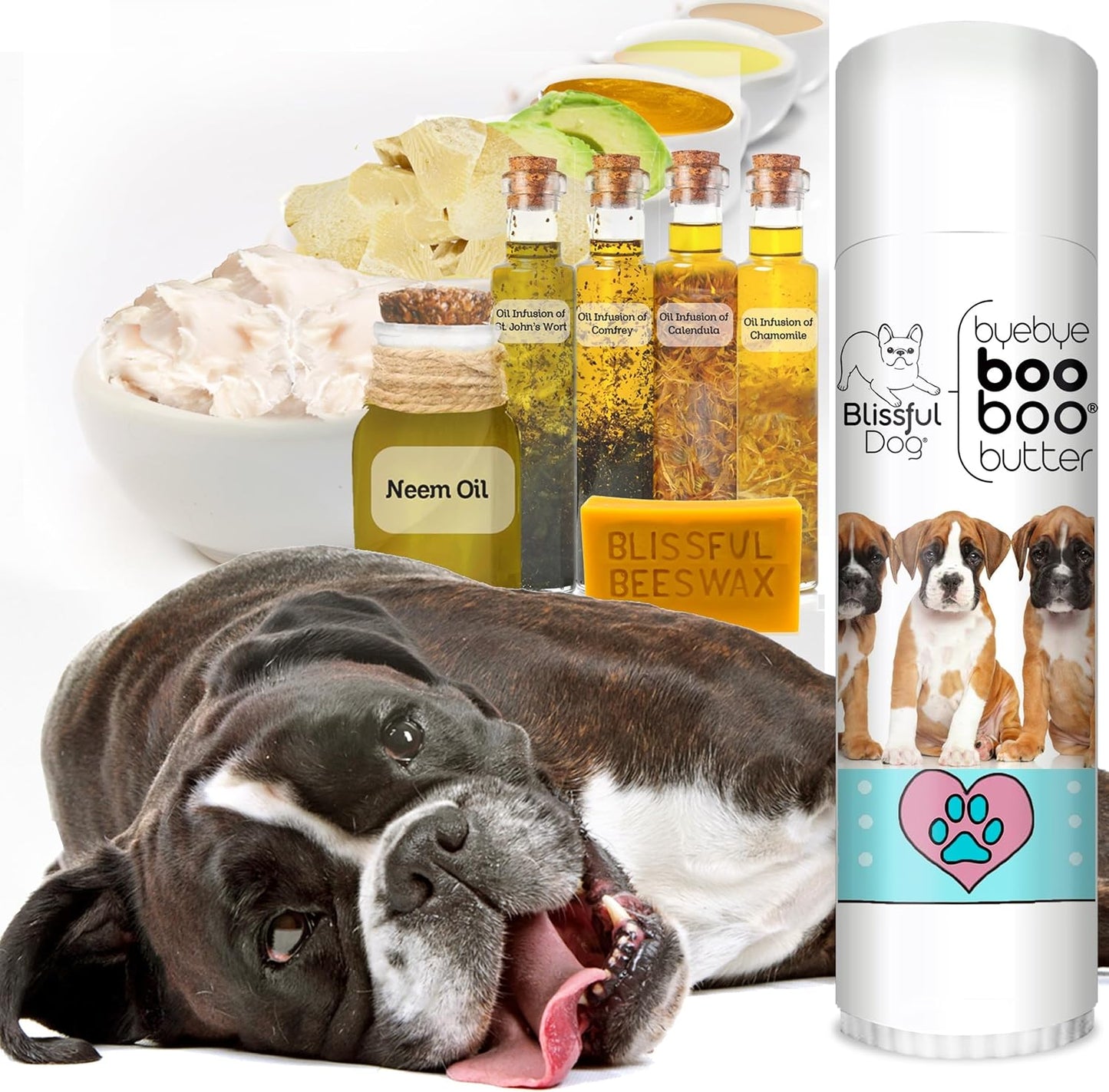 The Blissful Dog .50 oz Tube Boxer Booboo Butter