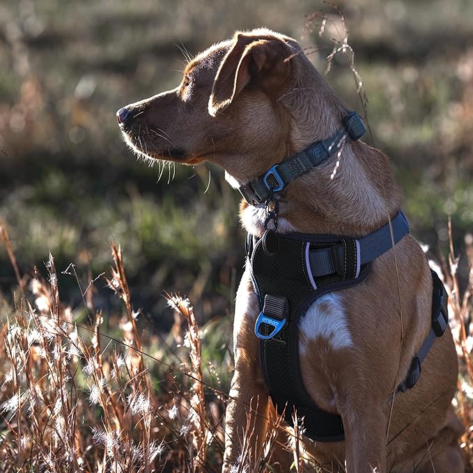 Embark Adventure Dog Harness, Reflective Trim No Pull Dog Harness Medium Sized - Military Grade Nylon, Front Clip with Gel Lined Handle. Soft & Padded Puppy Harnesses for Any Breed