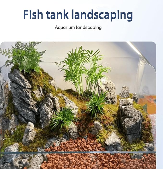 Seiryu Stone Natural Stone Rocks Fish Tank Decor Rocks for Aquariums Landscaping Model Tank Decoration Aquarium Miniature -20Lb (2-8 inch)