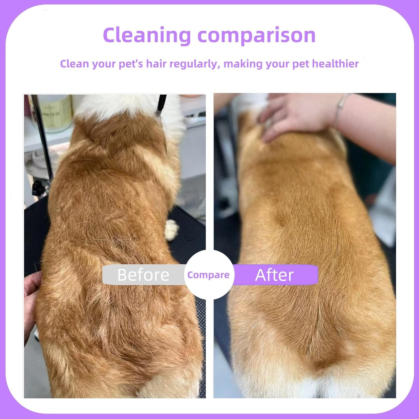 Pet Comb for Dogs & Cats with Long & Short Stainless Steel Metal Teeth For Shedding and Tangles, Non-Slip & Anti-Static Rubber Handle, Safe & Gentle Pet Grooming Comb