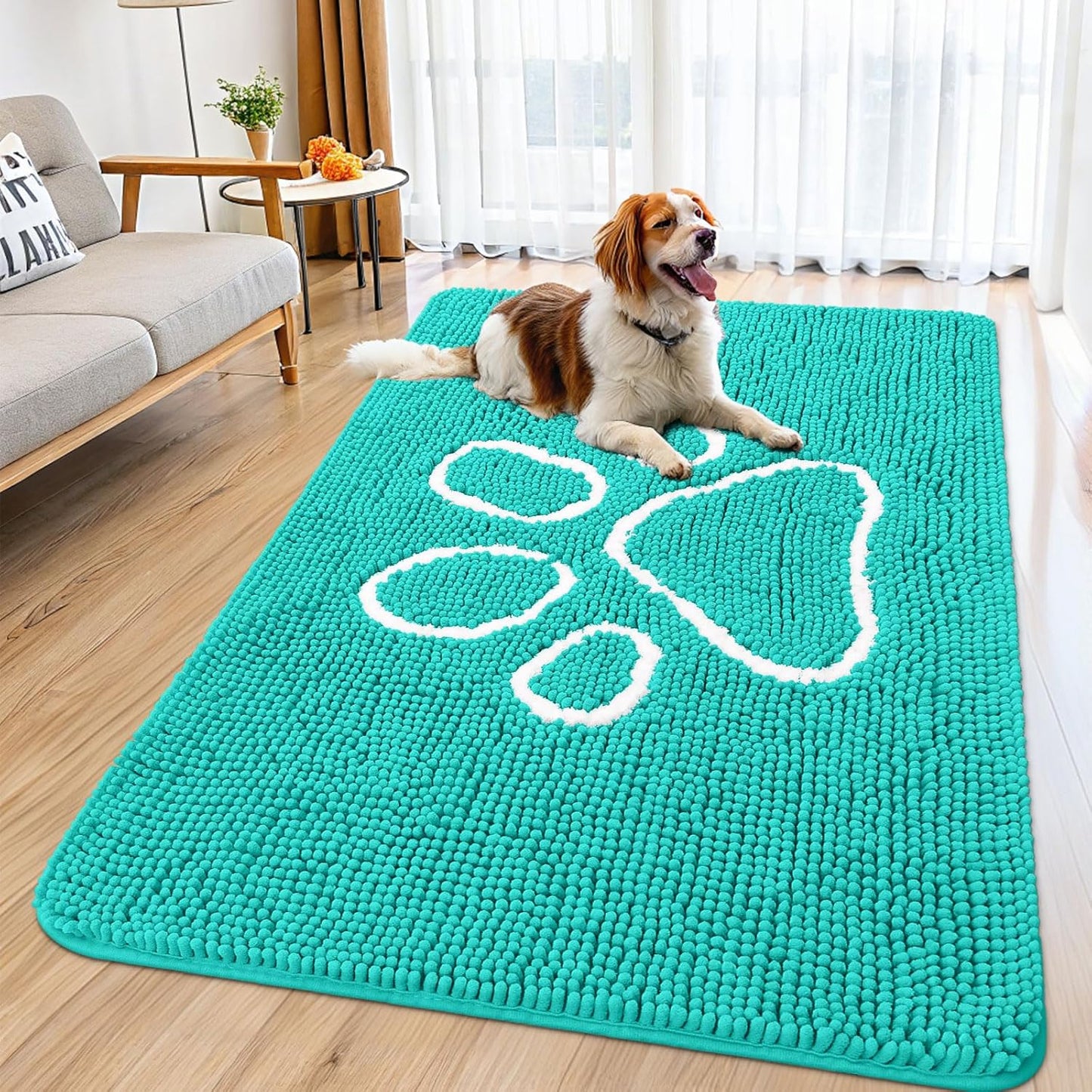 Smiry Dog Door Mat for Muddy Paws, Absorbent Dirt Trapper Non Slip Quick Dry Washable Chenille Mat for Mud Dogs, Entry Rug for Indoor and Outdoor (59x35 Inches, Turquoise)