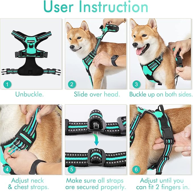 rabbitgoo Dog Harness No Pull with 2 Leash Clips, Adjustable Soft Padded, Reflective Oxford No Choke Pet Vest with Easy Control Handle for Large Dogs, Turquoise, XL