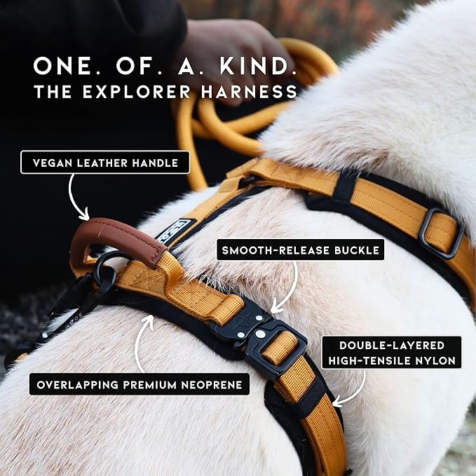 MADE TO ROAM Premium Explorer Harness - Y-Shaped Dog Harness with Adjustable Durable Nylon, Soft Padding, Metal Buckles and Leather Handle for Small, Medium, Large Dogs (Florida Seaside, Size 6)