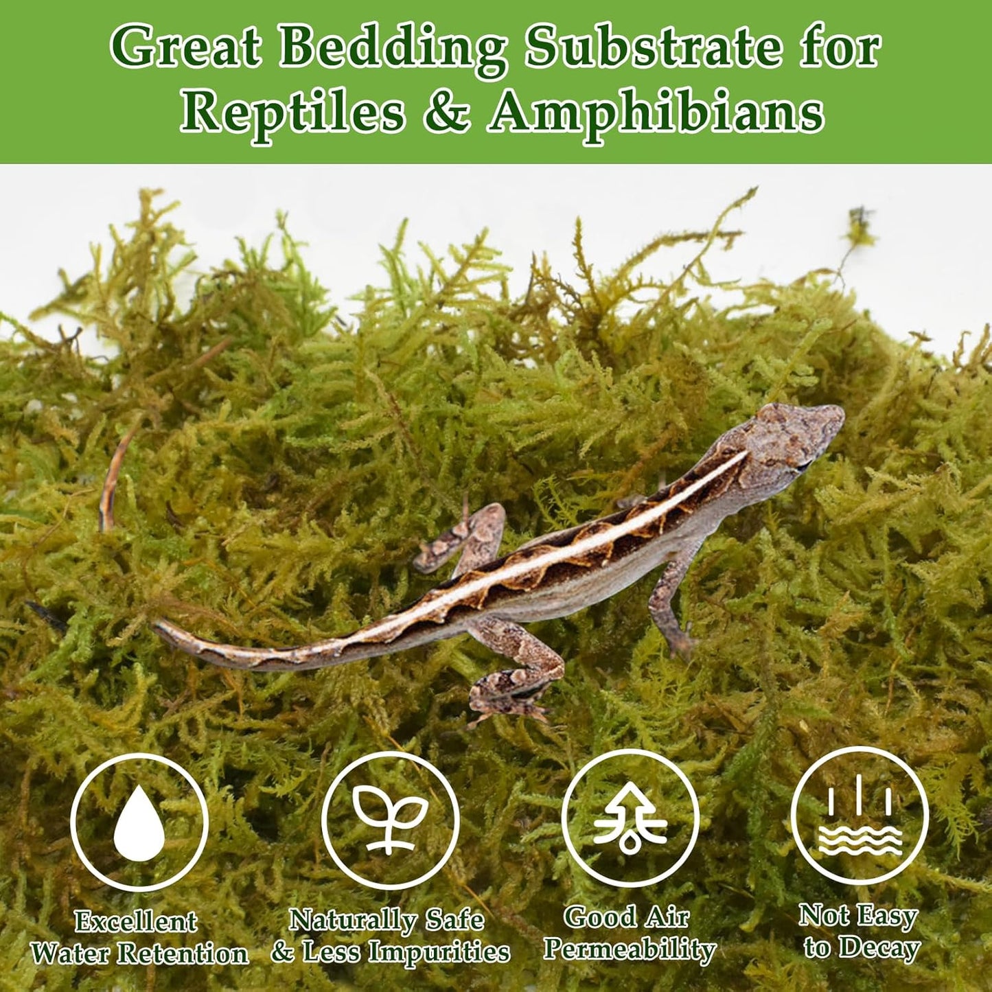 Halatool 5OZ Natural Sphagnum Moss for Reptiles- 8QT Green Live Moss for Terrarium Plants Long Fiber Reptile Moss for Leopard Gecko Snake Hamsters Tortoises Frogs Lizards Salamanders