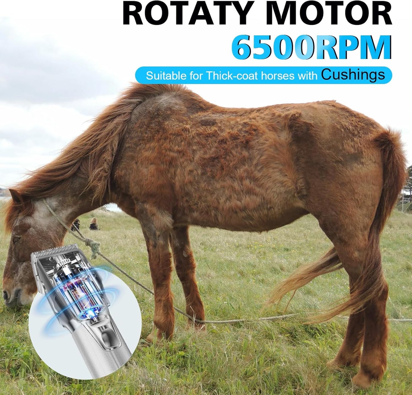 Horse Clippers, Cordless Trimmers Grooming Kit with 2500mAh Battery，Low Noise Heavy Duty Body Clipping Machine with LED Display, Suitable for Horse, Cattle, Cat, Dog with Thick/Tangled Coat