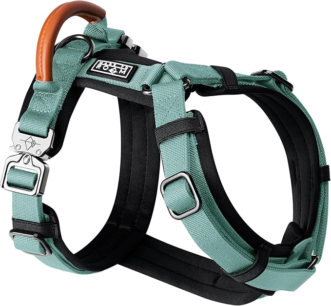 MADE TO ROAM Premium Explorer Harness - Y-Shaped Dog Harness with Adjustable Durable Nylon, Soft Padding, Metal Buckles and Leather Handle for Small, Medium, Large Dogs (Florida Seaside, Size 5)