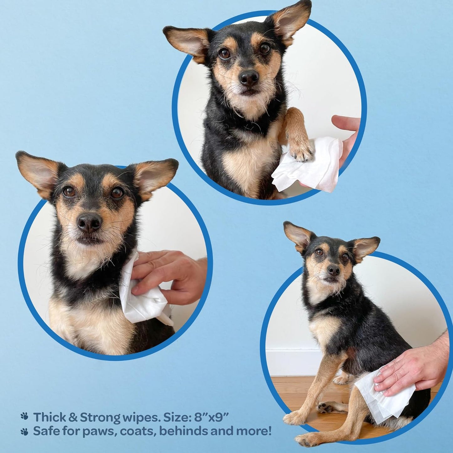 Best Pet Supplies Pet Wipes for Dogs - Dog Wipes Cleaning Deodorizing, or Coats, Ears, Paws - Soothing Oatmeal, 100 Count