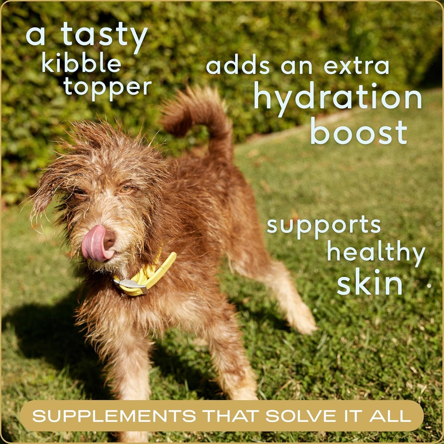 Native Pet Bone Broth for Dogs and Cats - Made with Real Beef Bone Broth, Dog Food Toppers for Picky Eaters - Provides Extra Hydration & Nutrition for Joint Strength, Immunity & Heart Health-96 Scoops