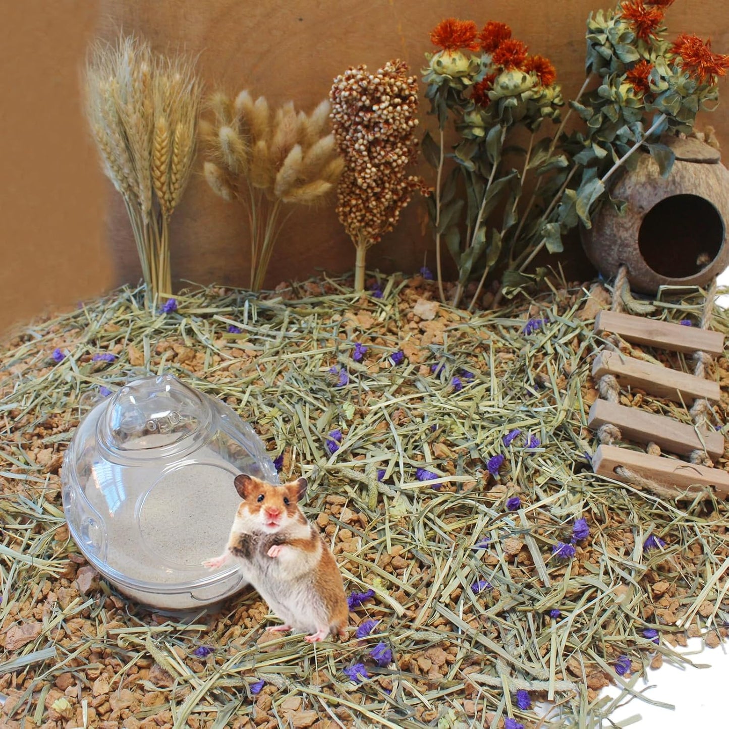 Hamster Bath Sand, 7.7lb Dust Free Desert Sand or Potty Litter Sand for Hamster Chinchillas Gerbil Syrian Mice Small Animals(Beige)