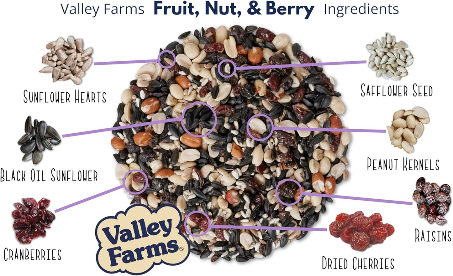 Valley Farms Fruit Nut & Berry Wild Bird Food for Outside Feeders, Bird Seed with Dried Fruit, Peanuts, Sunflower, and Safflower, High Energy Mix for Healthy Birds! (15 LBS)
