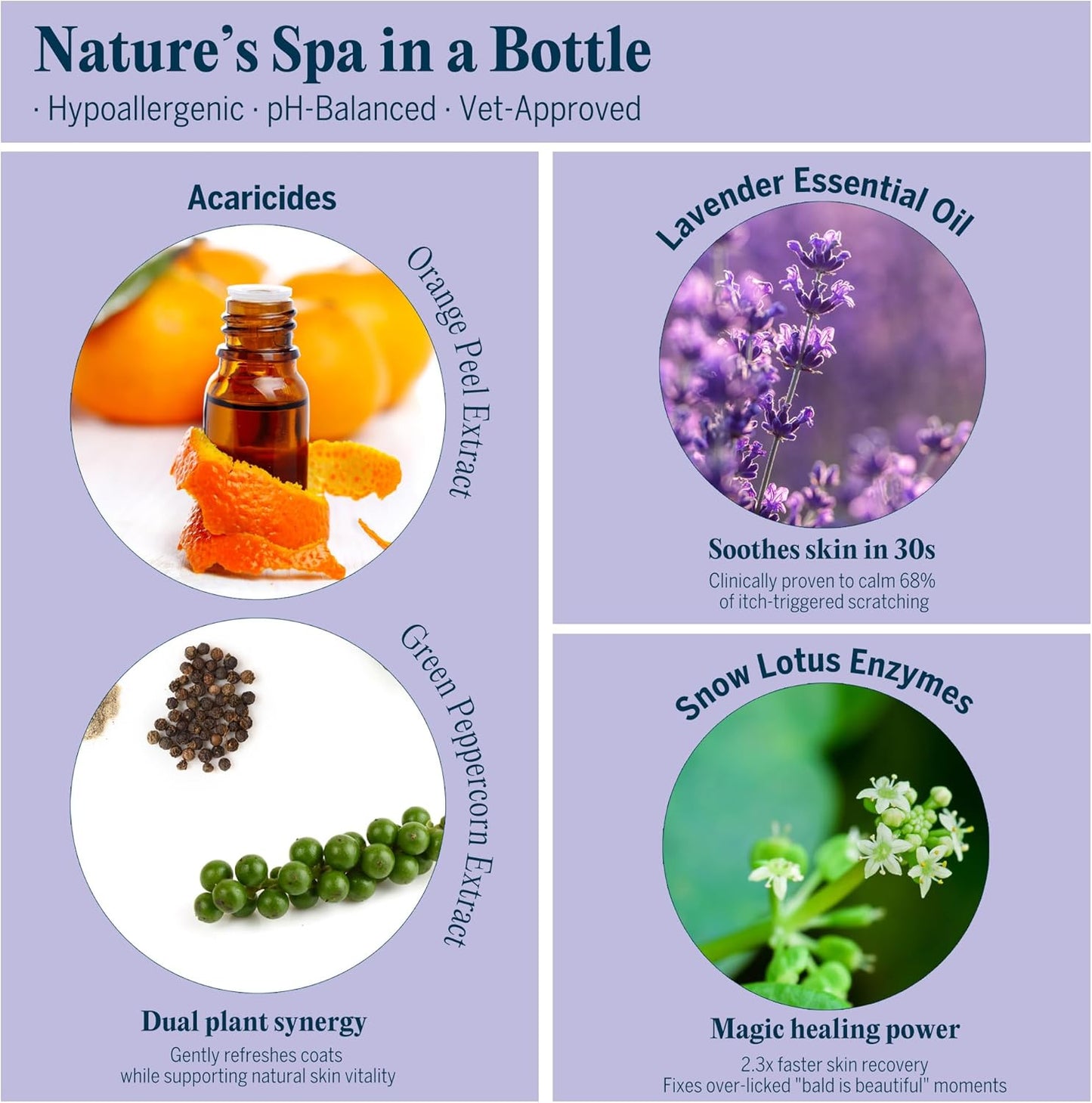 Pretty Kitty Waterless Cat Dry Shampoo – No Rinse, Lick-Safe, Moisturizing for Dry Skin, Detangler, Deshedding, Itchy Skin– Soap-Free Spray Foam for Kittens, Grooming Bathing Hydrat Softening Formula