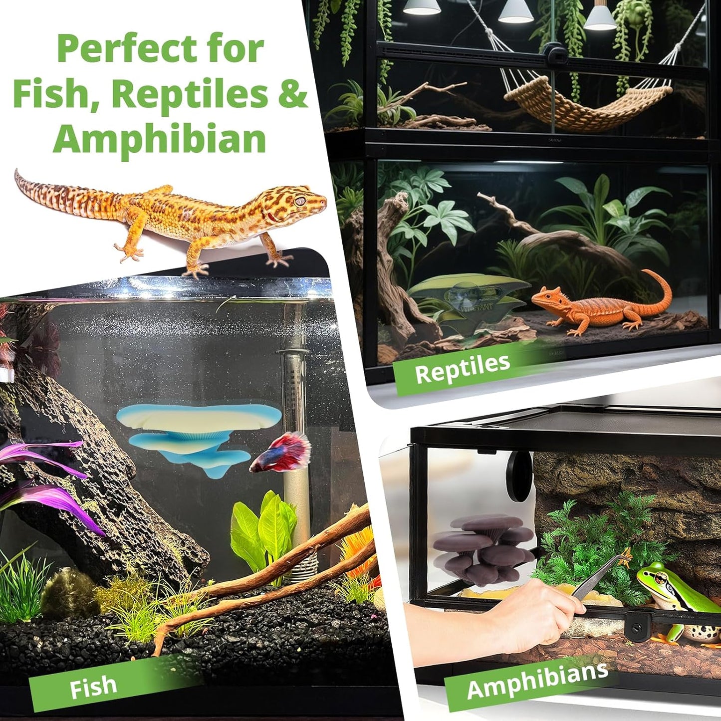 Mushroom Decor for Reptile Tank, Fish Tank, Pet-Safe Bearded Dragon Tank Accessories, Realistic Terrarium Plants for Leopard Geckos, Crested Geckos, Tree Frogs, Snakes (Cocoa, Cluster Cap)