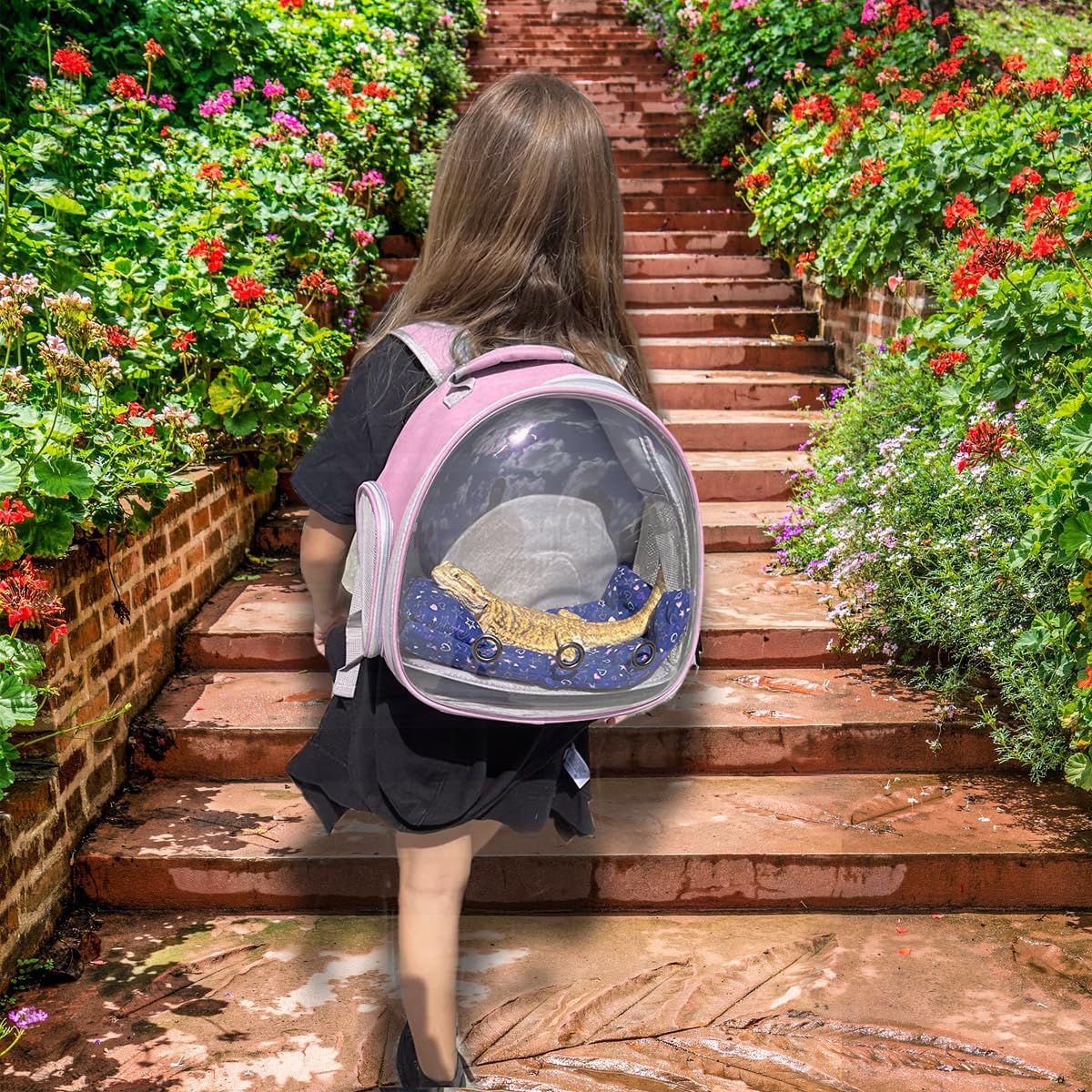 Hamster Backpack Carrier, Bearded Dragon Carrier Backpack with Clear Bubble Window,Small Animal Travel Backpack for Hedgehog Rat,Chameleon,Rabbit,Sugar Glider,Airline Approved (Pink, Backpack)