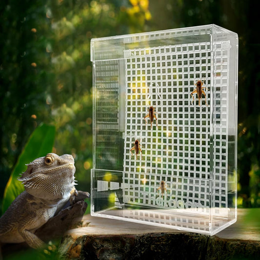 Bearded Dragon Feeder, Transparentk Acrylic Reptile Feeder Box, Chameleon Bug Bowl, Wall-Mounted Insect Feeder with Suction Cups, Tank and Aquarium Accessories for Lizard Bearded Dragon Frog
