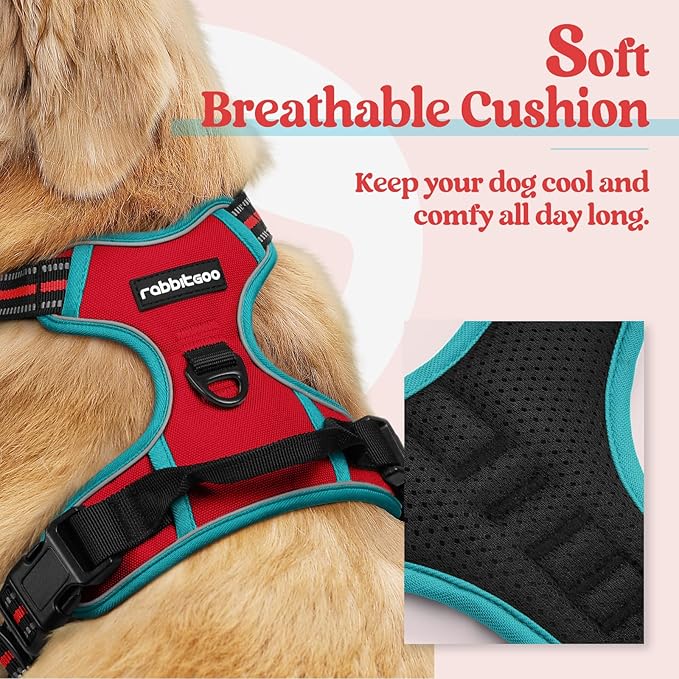 rabbitgoo Dog Harness No Pull with 2 Leash Clips, Adjustable Soft Padded, Reflective Oxford No Choke Pet Vest with Easy Control Handle for Small Dogs, Red & Teal, S
