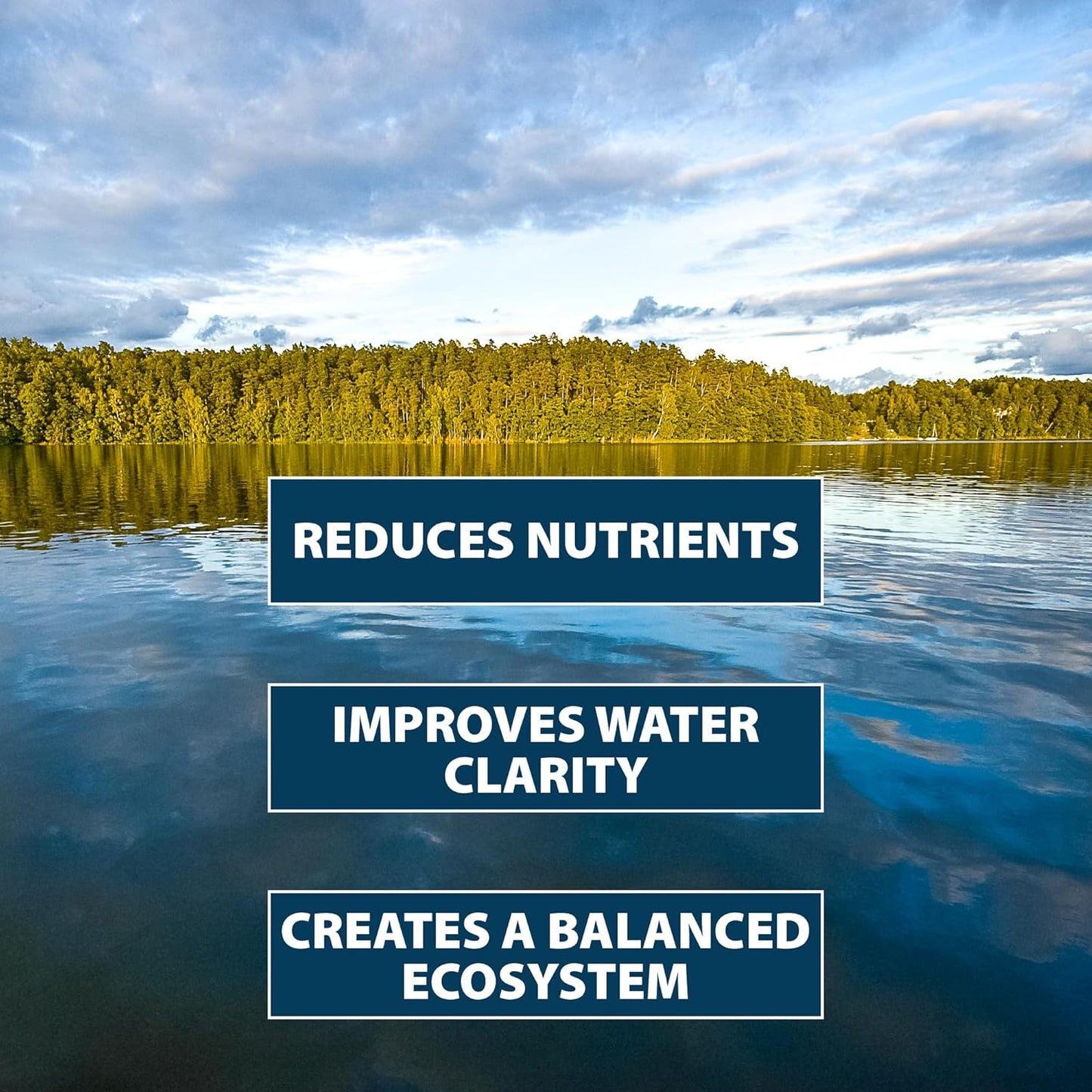 Airmax PondClear Packets, Beneficial Bacteria & Enzyme Clarifier Treatment with Ecoboost PRx, Clear & Clean Pond & Lake Water, Safe for Fish, 24 Count