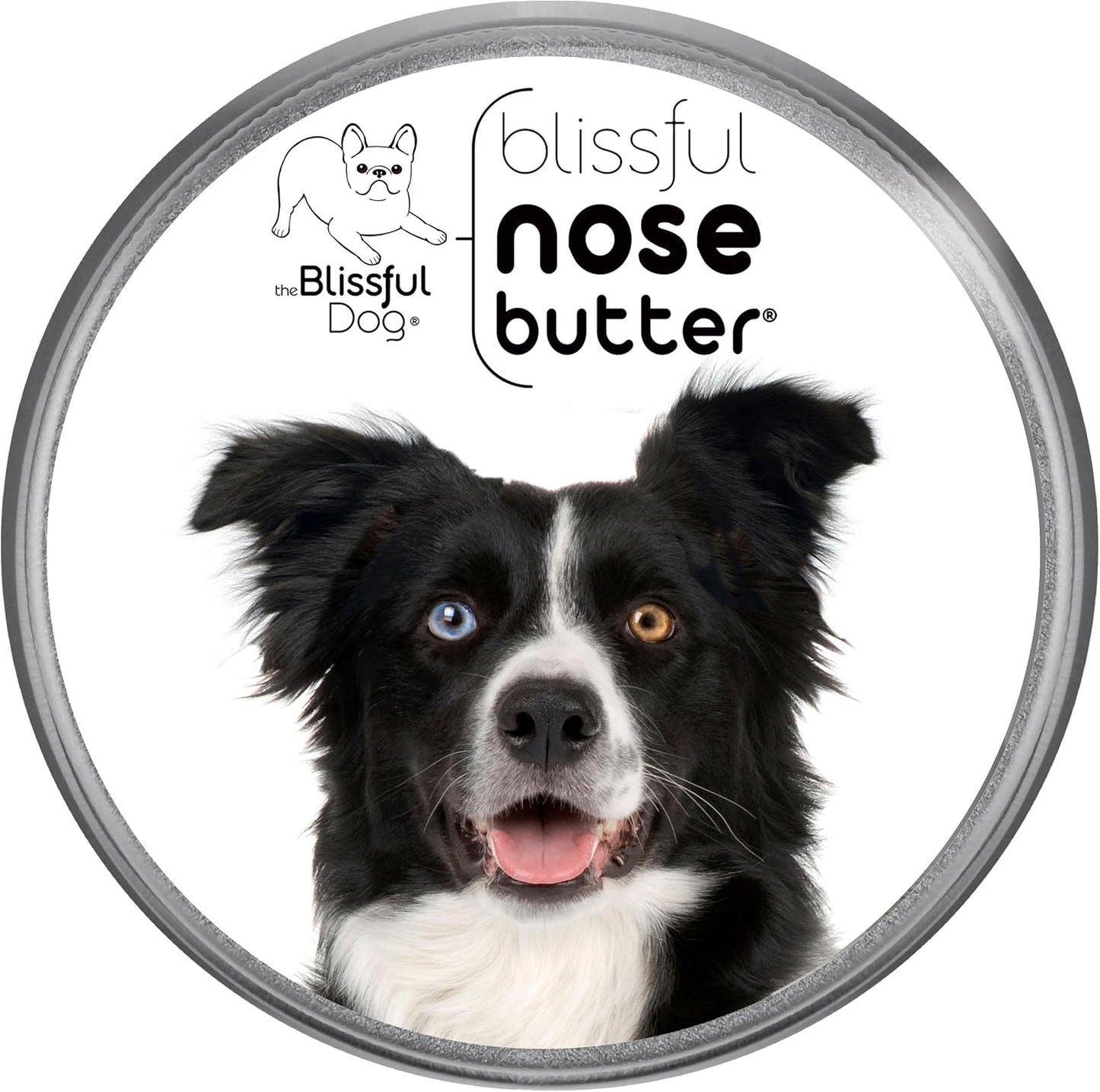 The Blissful Dog Border Collie Nose Butter for Dry, Cracked Skin, Lick-Safe Dog Nose Balm with Moisturizing Shea Butter, Almond, Olive, and Essential Oils, Pet Supplies, Uncented, 1 oz.