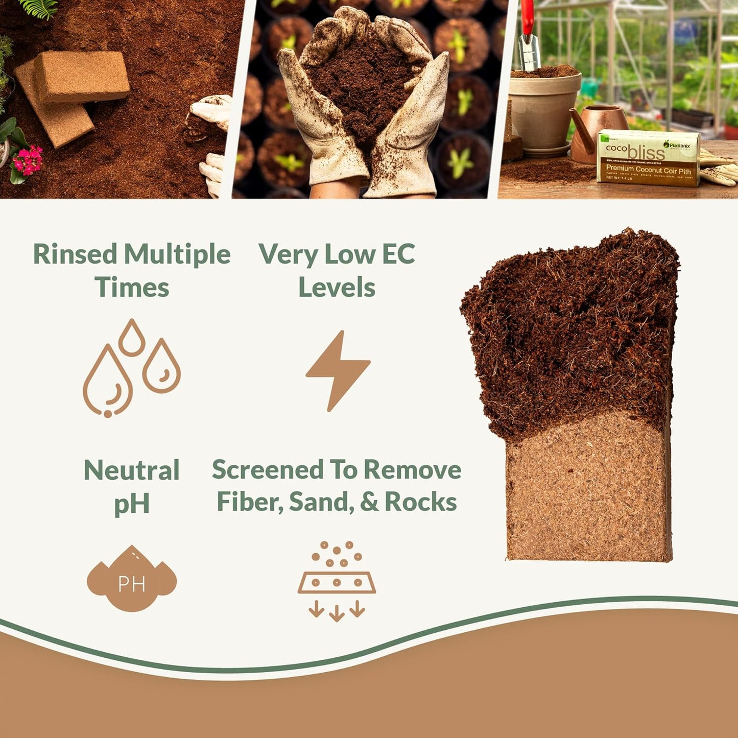 Coco Bliss 650gm Bricks (6-Pack) - Organic Coco Coir for Plants - OMRI-Listed Coco Coir for Garden Soil & Potting Mixes - Coconut Fiber Mixes with Potting Soil for Indoor Plants & Outdoor Plants