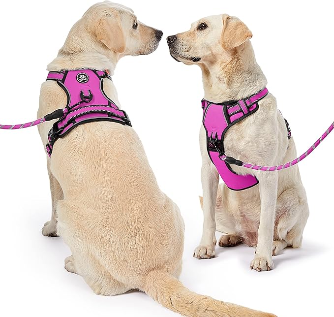 NESTROAD No Pull Dog Harness,Adjustable Oxford Dog Vest Harness with Leash,Reflective No-Choke Pet Harness with Easy Control Soft Handle for Large Dogs(X-Large,Fuchsia Pink)
