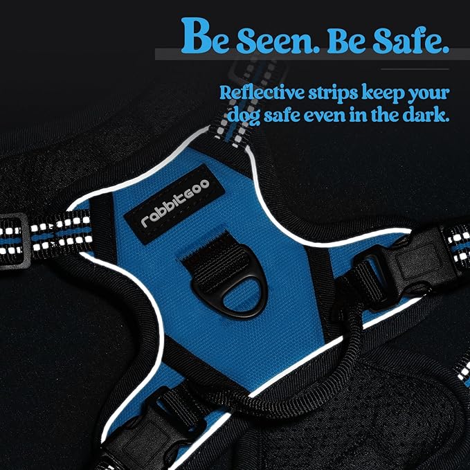 rabbitgoo Dog Harness No Pull with 2 Leash Clips, Adjustable Soft Padded, Reflective Oxford No Choke Pet Vest with Easy Control Handle for Puppy, Blue, XS