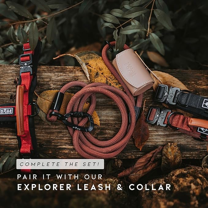 MADE TO ROAM Premium Explorer Harness - Y-Shaped Dog Harness with Adjustable Durable Nylon, Soft Padding, Metal Buckles and Leather Handle for Small, Medium, Large Dogs (Texas Flair, Size 7)