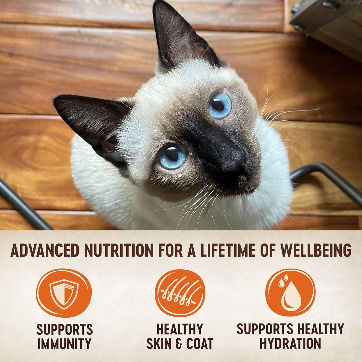 Wellness CORE Tiny Tasters Wet Cat Food, Complete & Balanced Natural Pet Food, Made with Real Meat, 1.75-Ounce Pouch, 12 Pack (Adult Cat, Tuna & Salmon Pate)