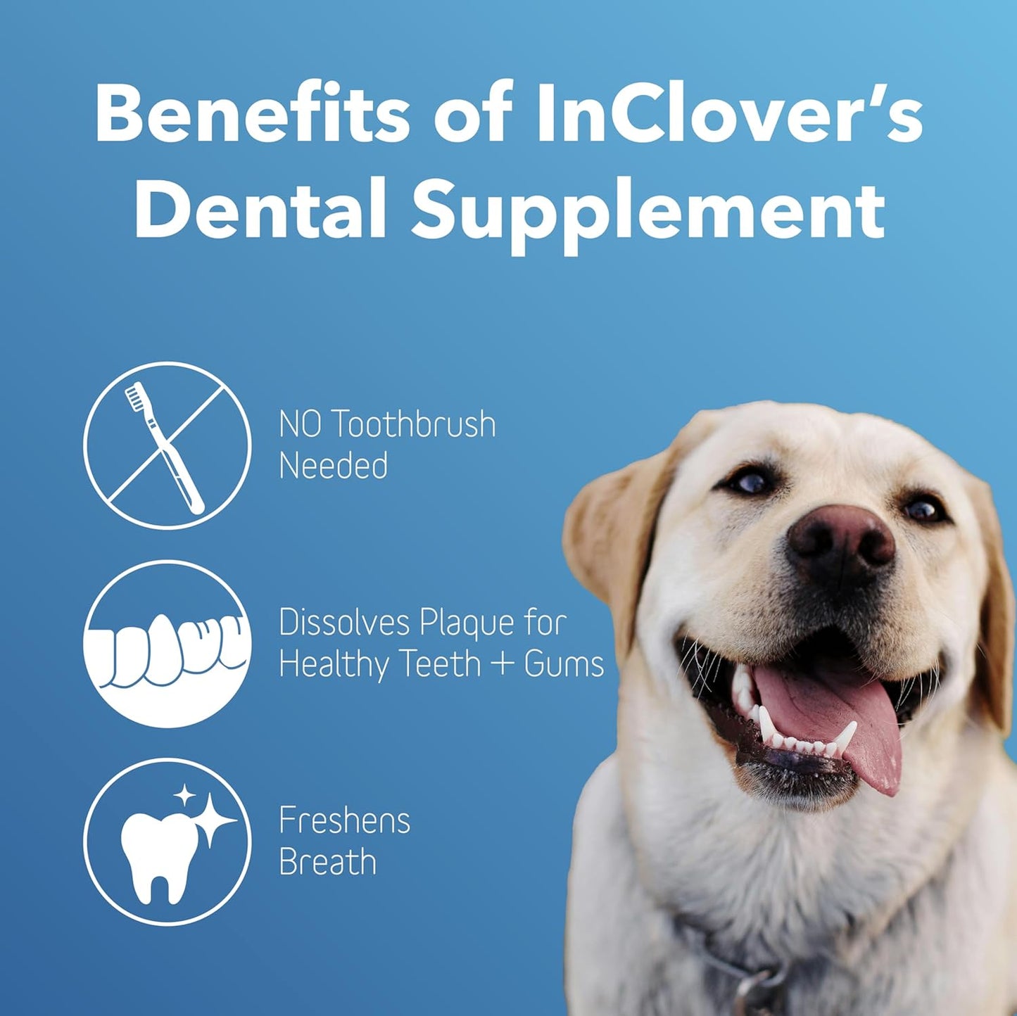 InClover Dog and Cat Dental Powder for Teeth Cleaning and Enamel and Gum Health, Natural Pet Supplement, Breath Freshener - Naturally Flush Away Tartar, No Brushing Necessary