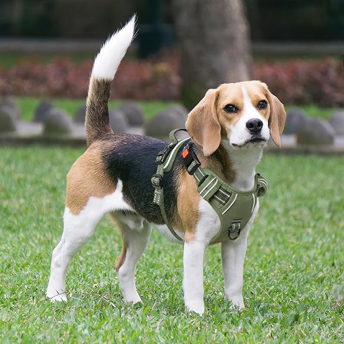 Timos Dog Harness Small Sized, No Pull Pet Harness with Neck Lockable Snap,No Choke Front Clip Dog Reflective Vest,Adjustable Metal Rings 3 Buckles,Easy Control Handle for Small Dogs Green S