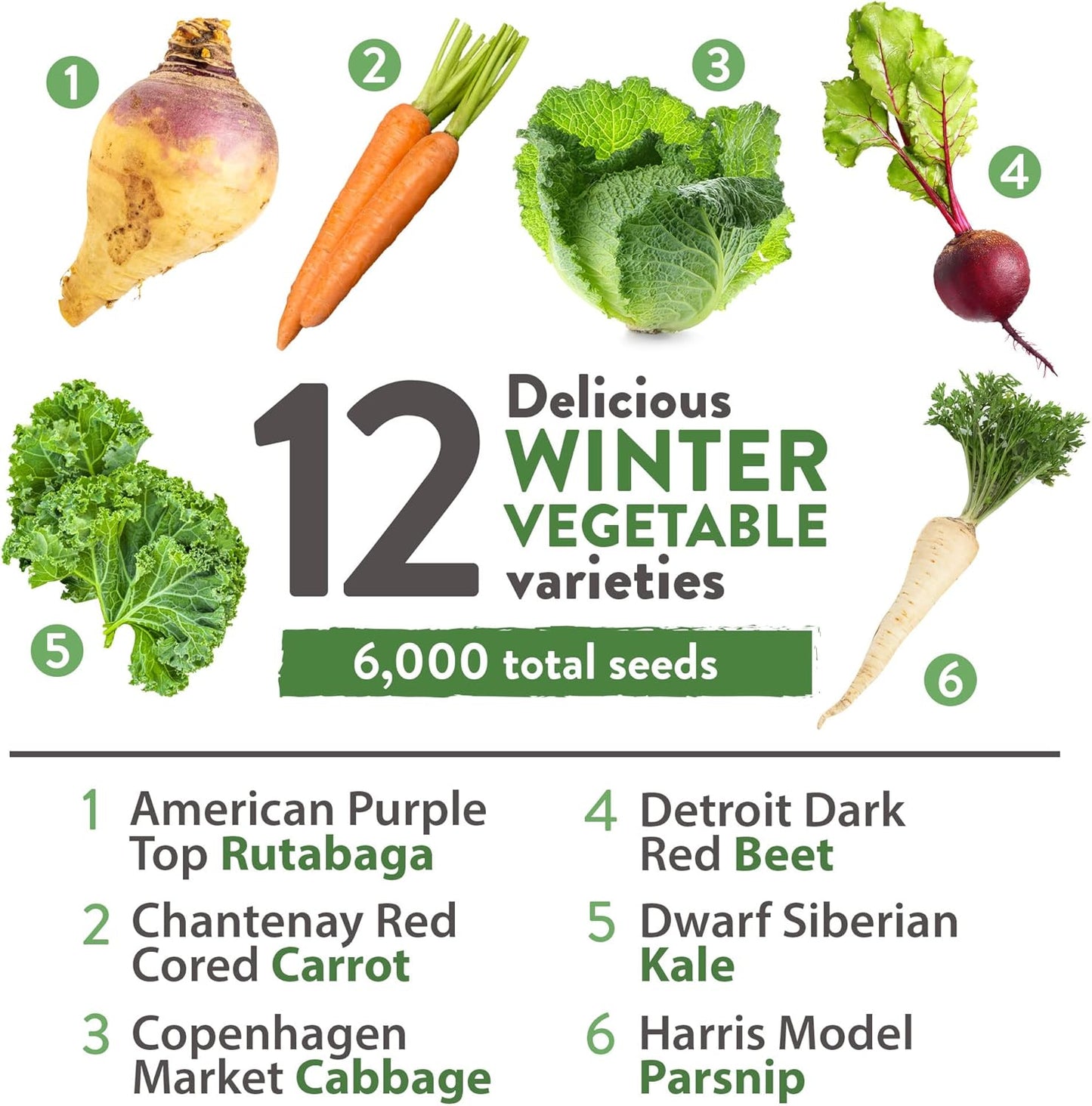 HOME GROWN 12 Winter Vegetable Seeds 𝗡𝗢𝗡-𝗚𝗠𝗢 Heirloom,Fall & Winter Vegetable Seeds for Planting Home Garden: Bean, Beet, Broccoli, Cabbage, Carrot, Cauliflower, Kale,Parsnip,Squash,Chard & More