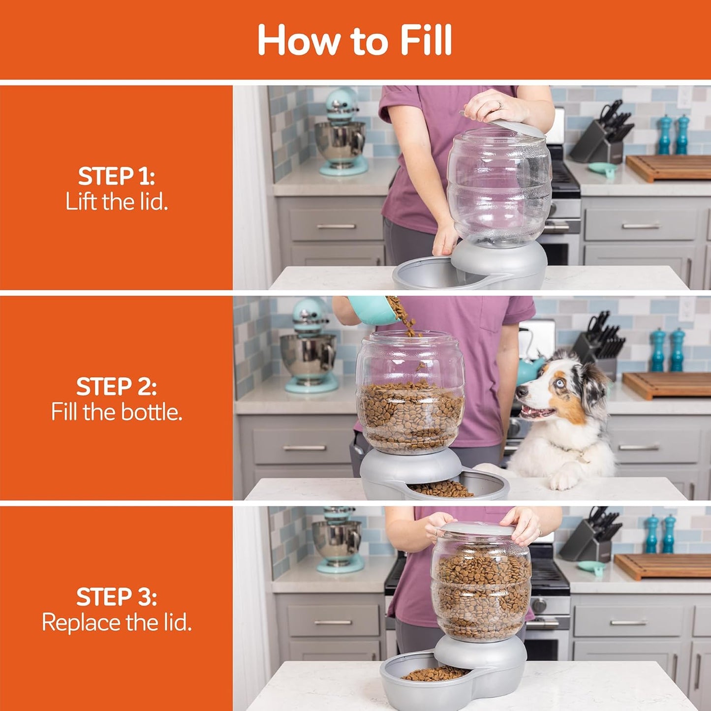 Petmate Replendish Feeder Automatic Cat and Dog Feeder, Pearl Peacock Blue, 10 LB, Made in USA