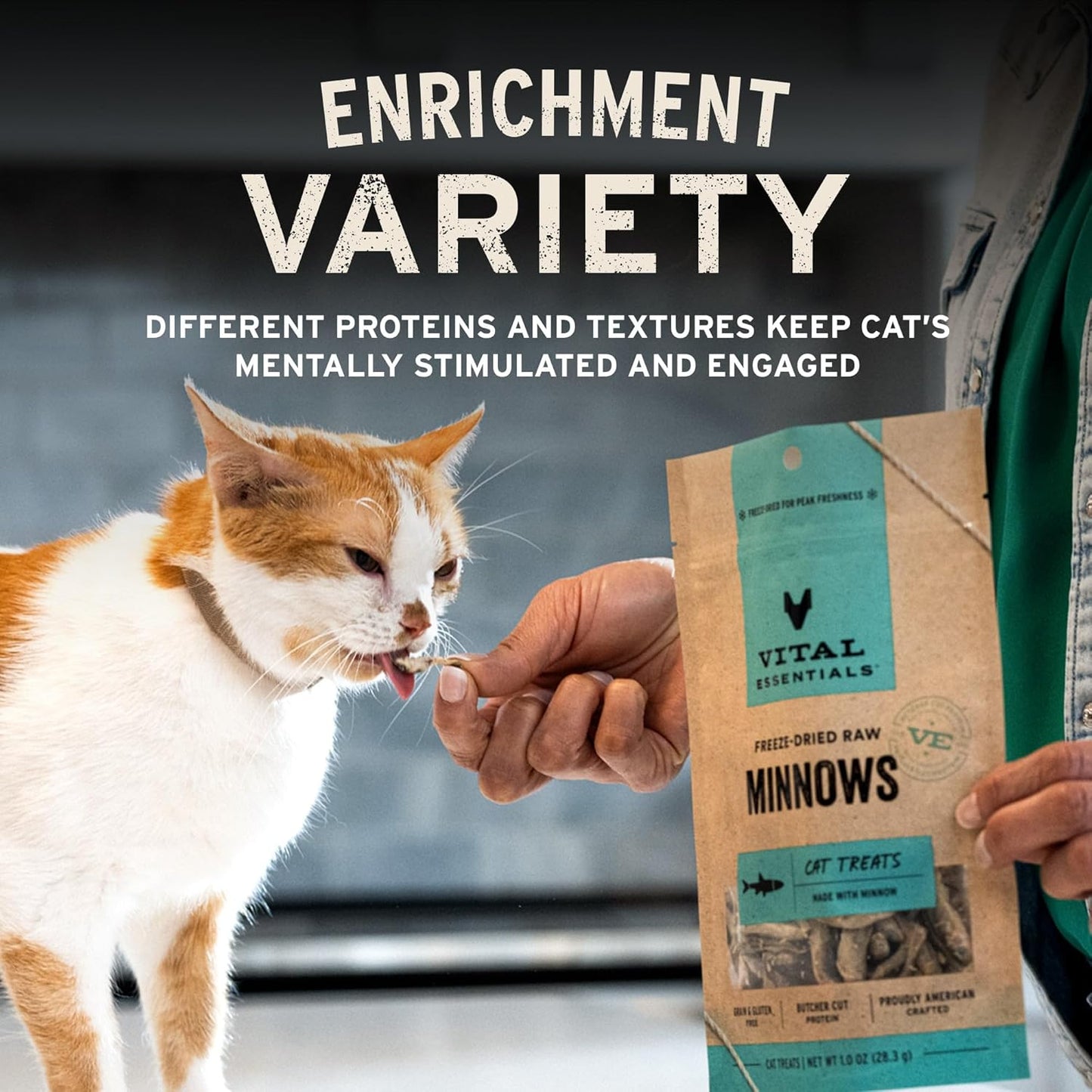 Vital Essentials Duck Liver Cat Treats, 0.9 oz | Freeze-Dried Raw | Single Ingredient | Grain Free, Gluten Free, Filler Free