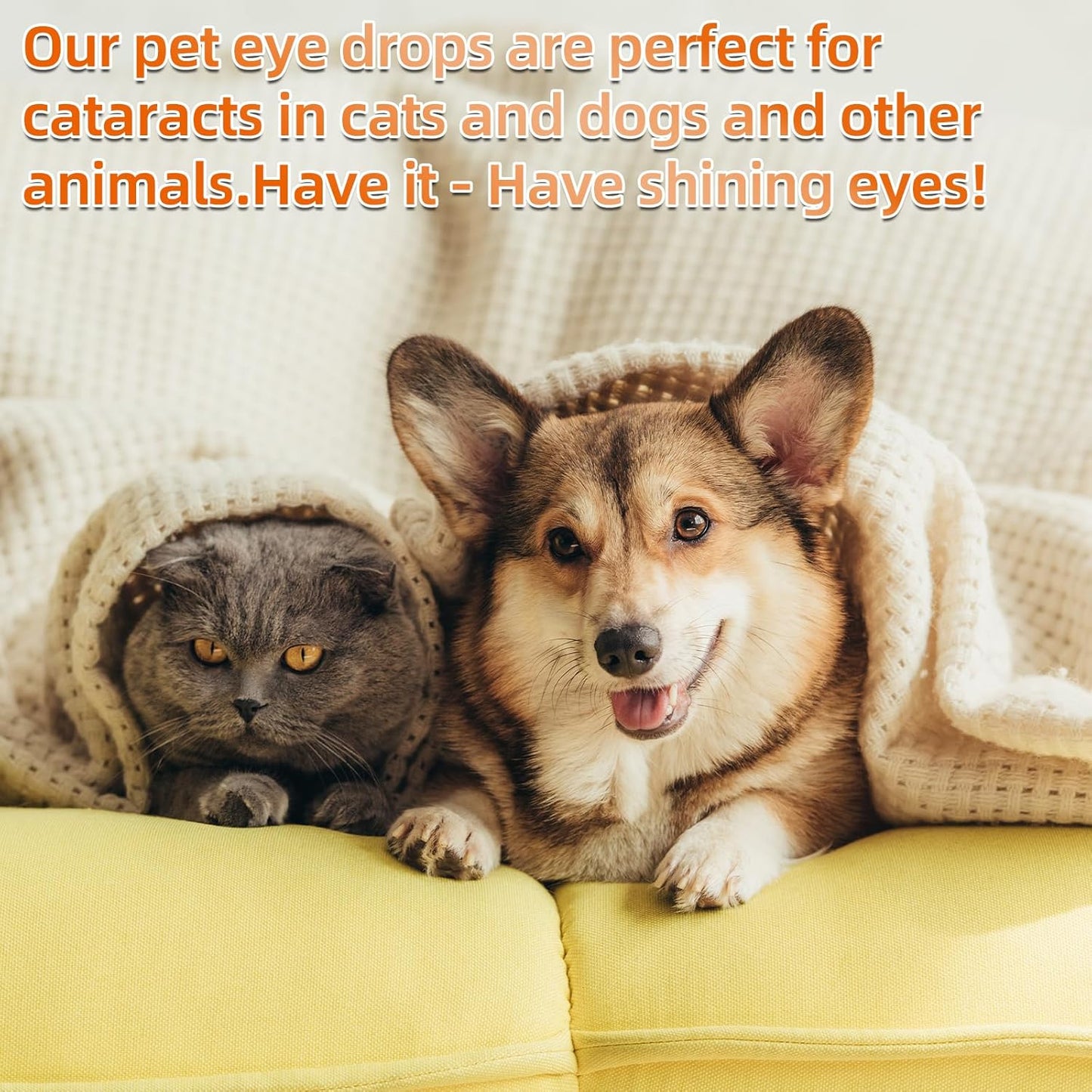 BrennenstuhlCataract Drops for Dogs - Pet Dogeye Drops for Superior Comfort Long - Removing Eye Stains - Used to Clean Tear Stains - ImprovingEye Vision - Safe for Cats and Dogs (2 X 10 Ml)