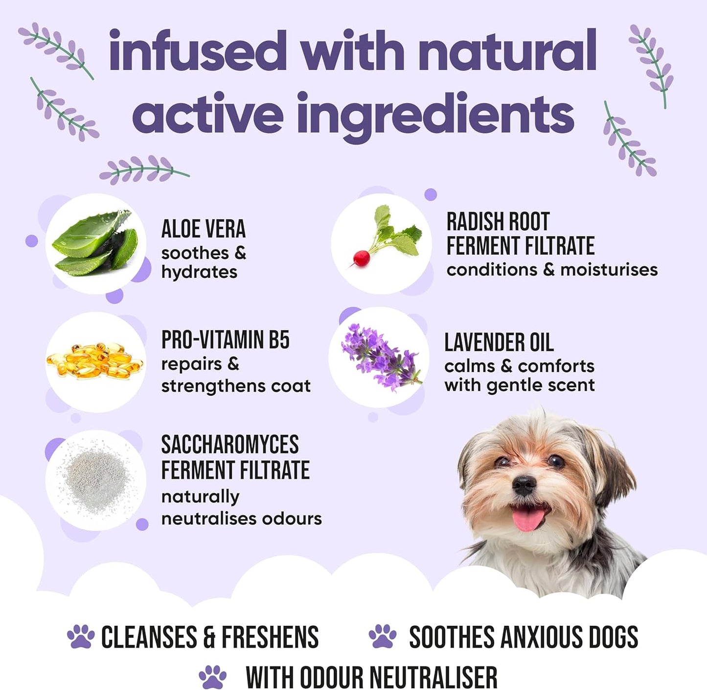 Calming & Deodorising Dog Shampoo by Buddycare | Lavender Scented | with Aloe Vera and Pro Vitamin B5 (50.72oz)