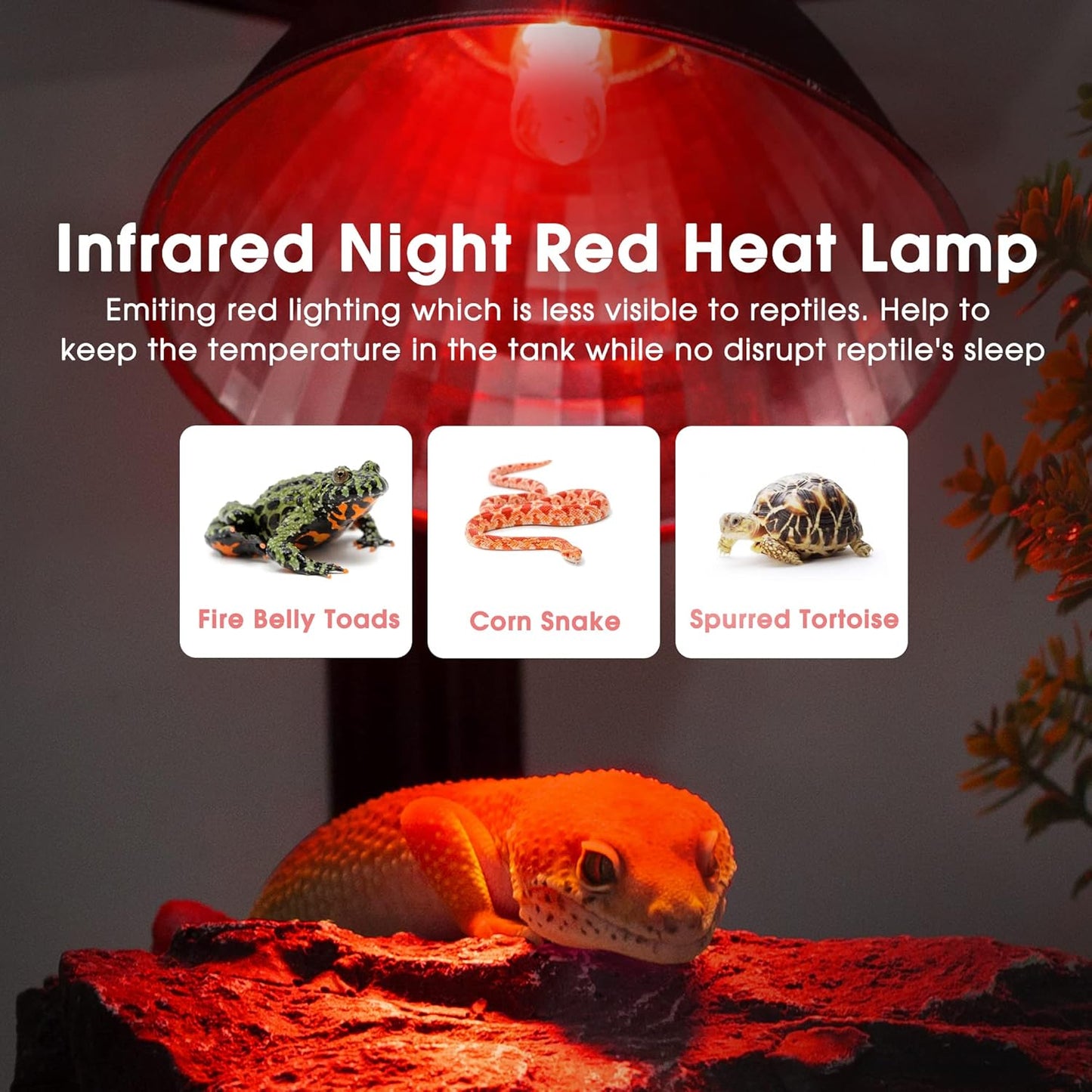 Briignite G9 Infrared Heat Lamp Bulbs for Reptile, Mini Reptile Light, Dimmable Night Red UVA Reptile Heat Lamp, 2 Pin Base Mini Heat Bulbs 50W, Bearded Dragon Turtle Lizard, 6 Pack
