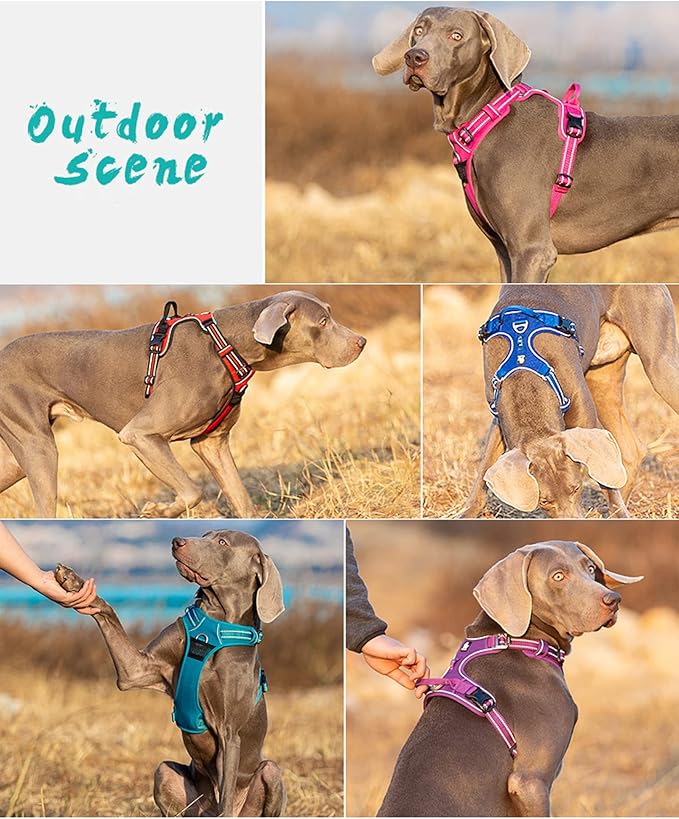 TRUE LOVE Dog Harness No Pull Nylon Reflective Pet Harness Adjustable Comfortable Control Step-in Brilliant Colors Truelove TLH56512 Grass Green