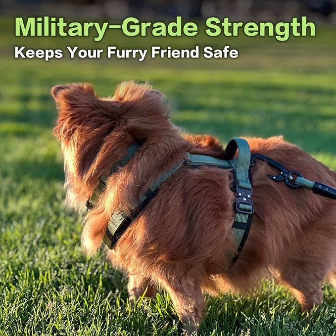 CLEPAWS Dog Harness for Small Dogs, No Pull Dog Harness Easy Walk with Metal Hardware, Ergonomic Y-Shaped Design, Soft Padding, Padded Handle, Durable High-Tensile Nylon (Evergreen, S)