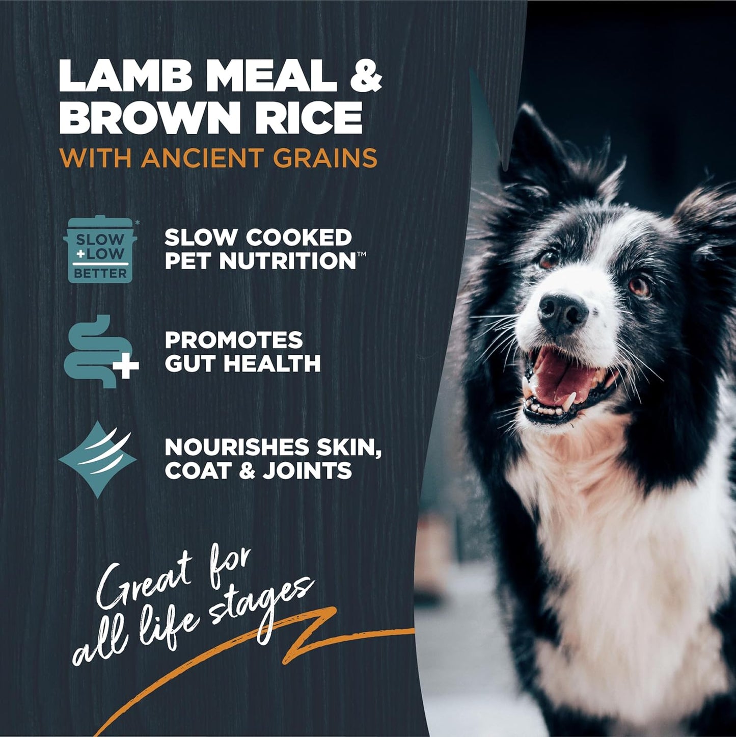 Blackwood Sensitive Skin & Stomach Dry Dog Food, Lamb Meal & Brown Rice with Ancient Grains, 10 Pound Bag with Prebiotics & Probiotics to Promote Gut Health