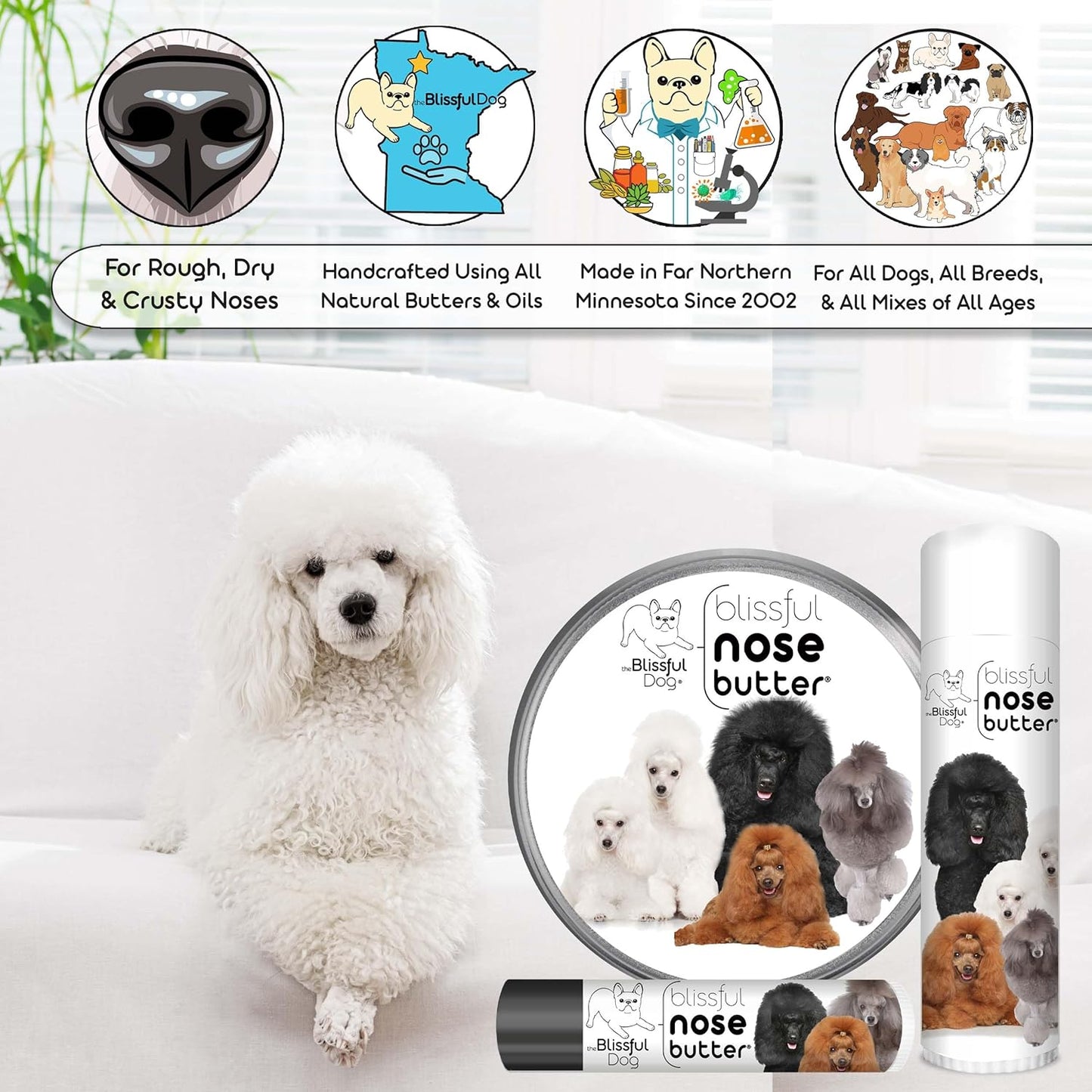 The Blissful Dog Poodle Nose Butter for Dry, Cracked Skin, Lick-Safe Dog Nose Balm with Moisturizing Shea Butter, Almond, Olive, and Essential Oils, Pet Supplies, Uncented, 0.15 oz.