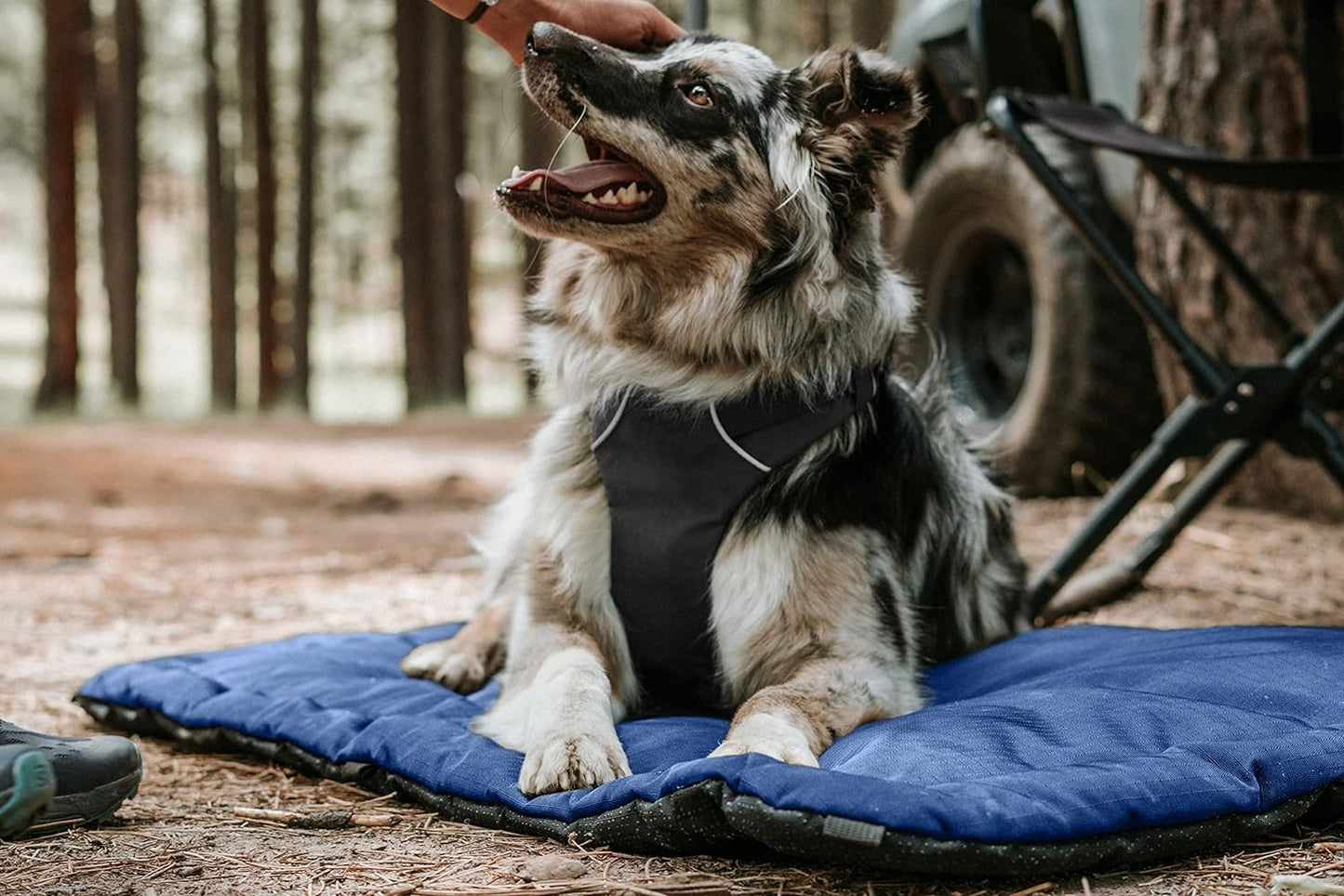 K9 Ballistics Tough Ripstop Dog Crate Pad - Durable & Machine Washable with Non-Skid Bottom and 120-Day Warranty, Fits 36" Wire Crates - Medium, Light Gray Velvet