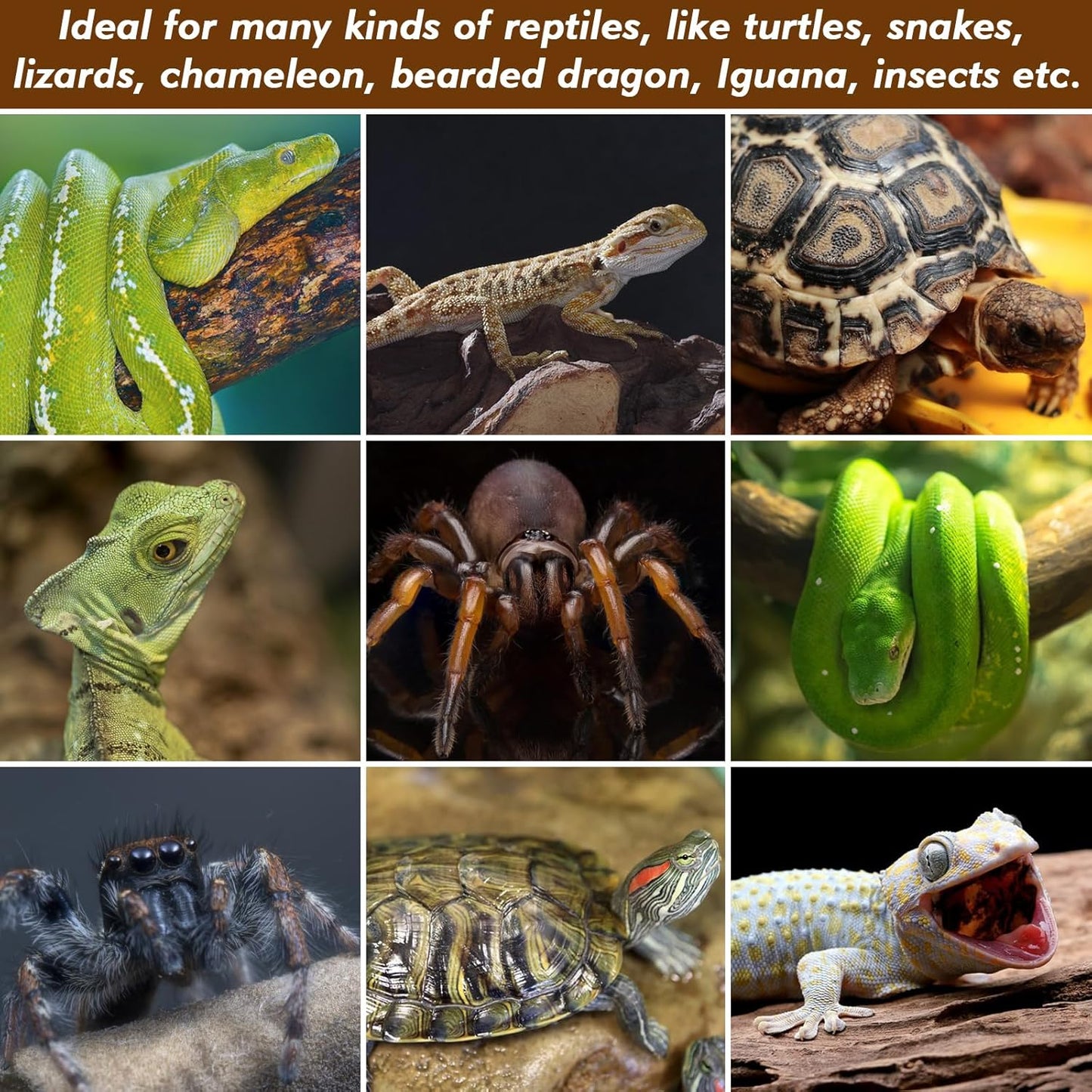 ZeeDix 3 Rolls Coconut Fiber Reptile Substrate Mat, 24 x 48 inches Natural Coco Mat Reptile Carpet Coco Fiber Liner Turtle Bedding Reptile Terrarium Liner for Lizard Snake Turtle Gecko Bearded Dragon