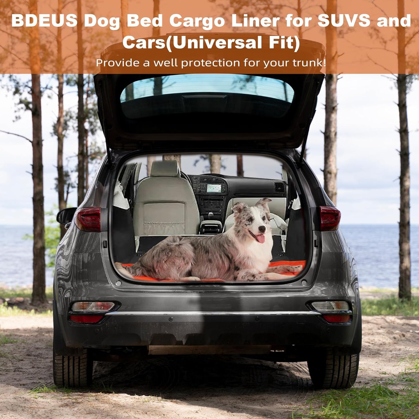 BDEUS 51x35In Extra Large Size Outdoor Dog Bed, Waterproof & Portable Camping Travel Pet Mat, Easy to Clean, Washable Odor Resistant Pet Cooling Pad (Orange)