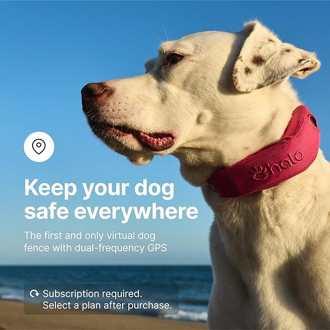 Halo Collar 4, All New GPS Wireless Dog Fence & Dog Training Collar with GPS Tracker, Subscription Required, Waterproof, One Size, Orchid